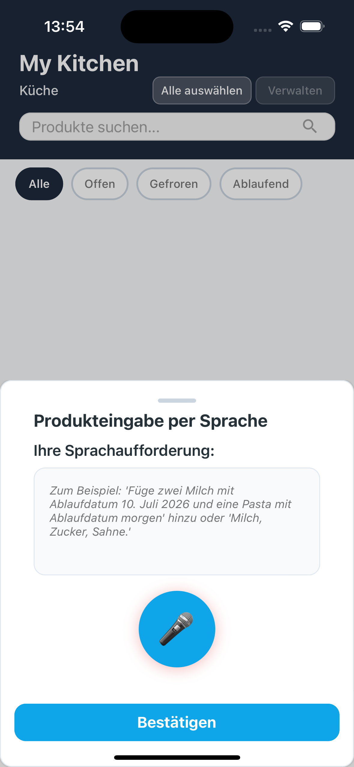 Spracheingabe