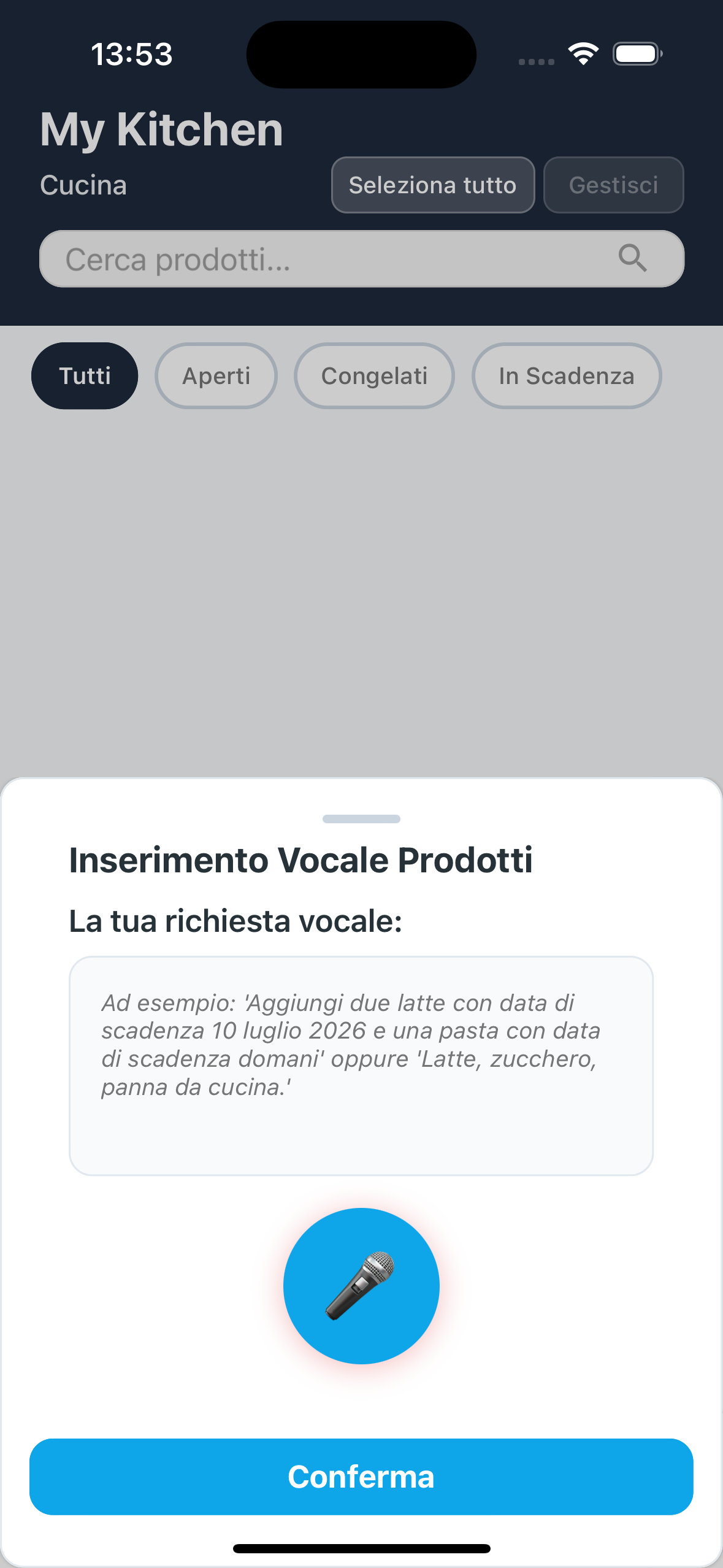 Inserimento vocale